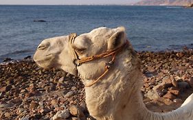فندق لارين دهب